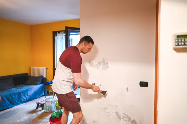 Best Residential Mold Remediation in Villa Hills, KY