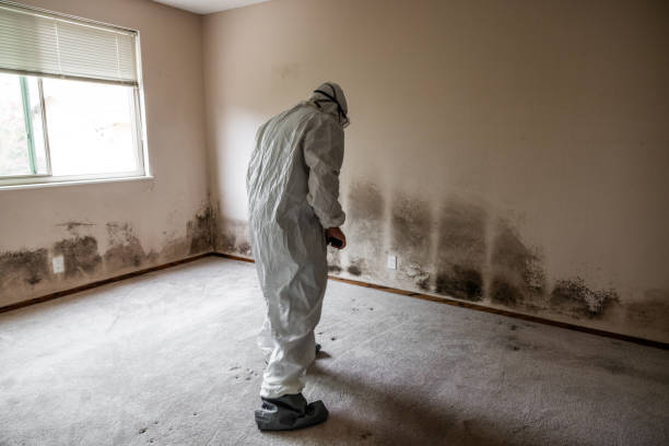 Best HVAC Mold Remediation in Villa Hills, KY